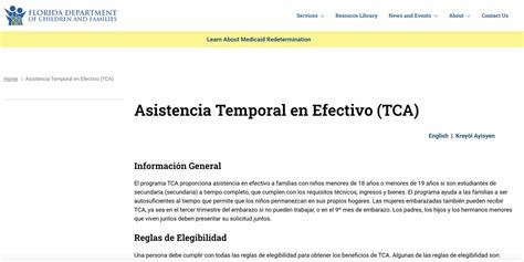 Asistencia Temporal en Efectivo (TCA)